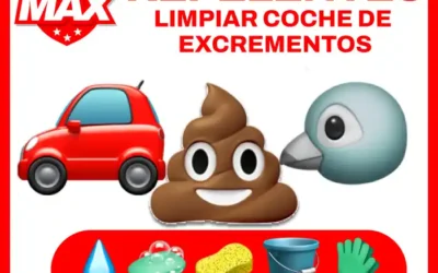 Cómo limpiar caca de paloma seca del auto